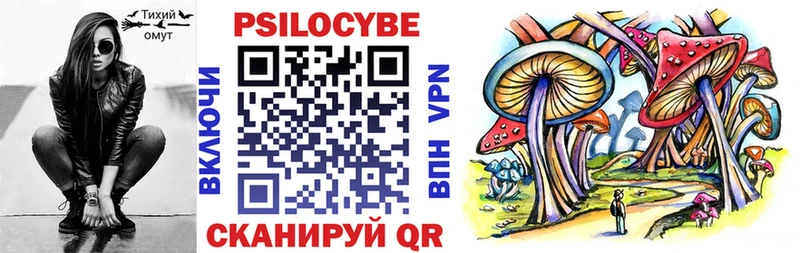 Псилоцибиновые грибы Psilocybe Еманжелинск